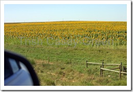 2010_AUG Vacation-190--