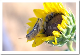 2010_AUG Vacation-296-