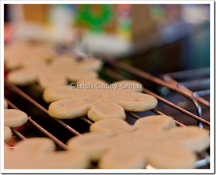 2010 dec11 (1 of 1)-2