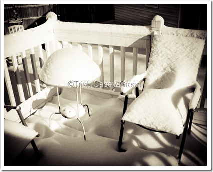 2010 dec8 (1 of 1)-2