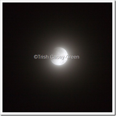 2010 December Moon (20 of 7)