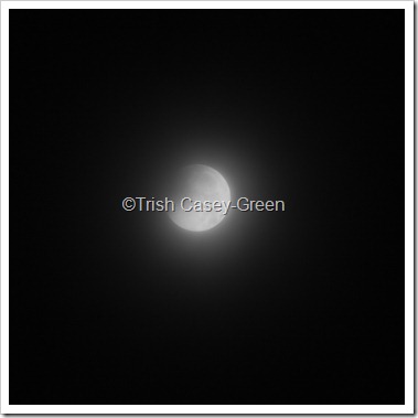 2010 December Moon (21 of 7)