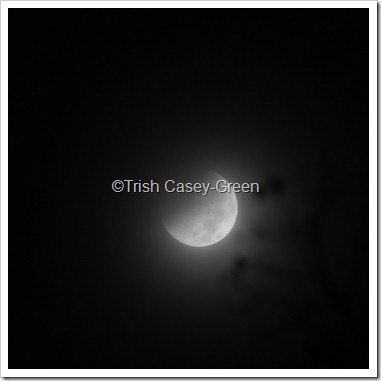 2010 December Moon (22 of 7)