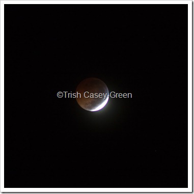 2010 December Moon (24 of 7)