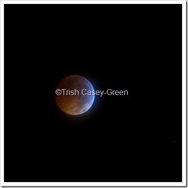 2010 December Moon (26 of 7)