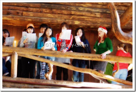 2010_Aug25 Yllwston8-84 copy