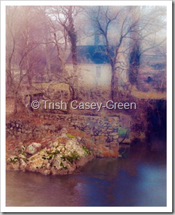 2011 Jan 29 AR-10-Edit y