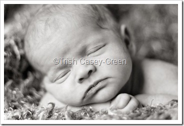 20110920Layla-6-Edit copy