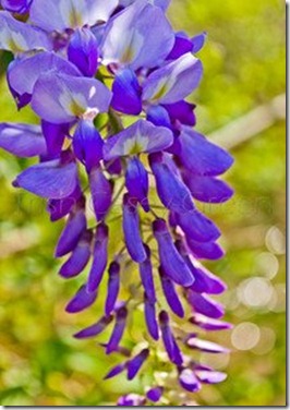 545639_356994144343882_101961379847161_988696_778855604_n