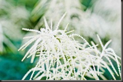 2012-June VACATION-202