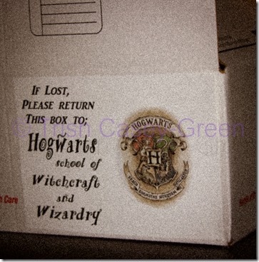 20130728-20130728-IMG_4479