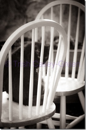 20130804-20130804-IMG_4638