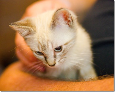 20130814-20130814-IMG_4734