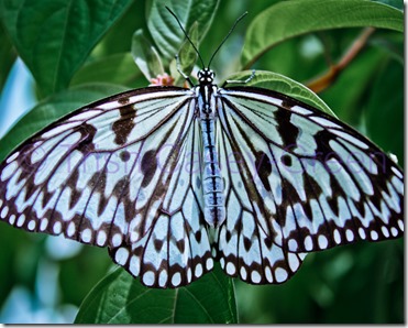 20130815-20130815-IMG_4862