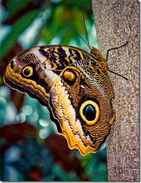 20130815-20130815-IMG_4890