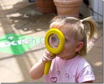 20130815-20130815-IMG_4912