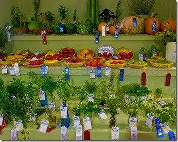 20130826-20130826-IMG_5331