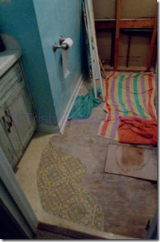 20130913-20130913-IMG_5528