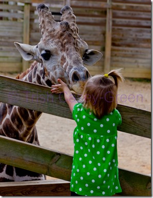 20130916-20130916-IMG_5649