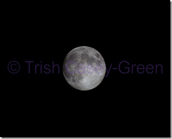 20130918-20130918-IMG_5773