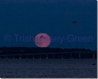 20130919-20130919-IMG_5798