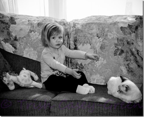 20131021-untitled-10