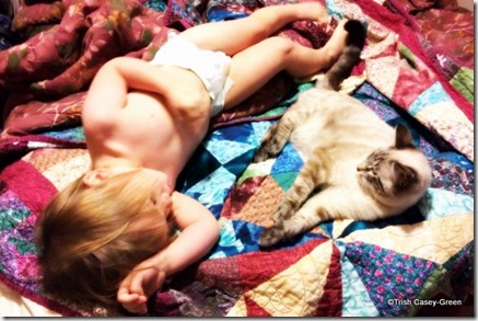 2013-NOV 11-25-2013 8-32-10 AM