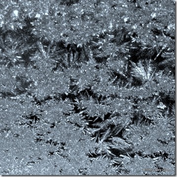 2013-NOV 11-29-2013 6-34-01 AM