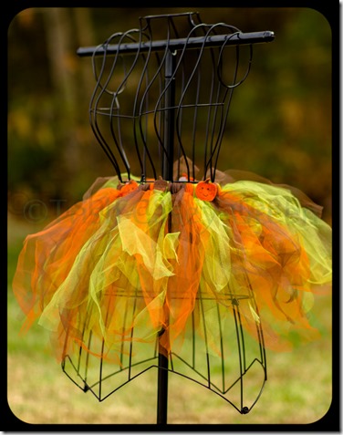 20131106-untitled-46