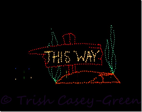 20131122-untitled-14