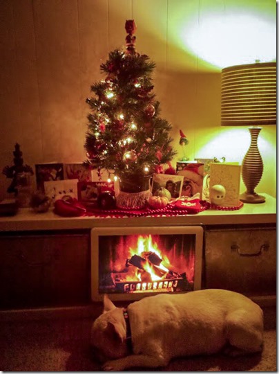 IMG_20101223_191858-2