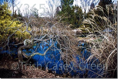 1545018_10203500739503086_1575422417_n