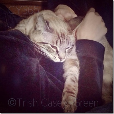 1798827_10203609245455667_2012873224_n