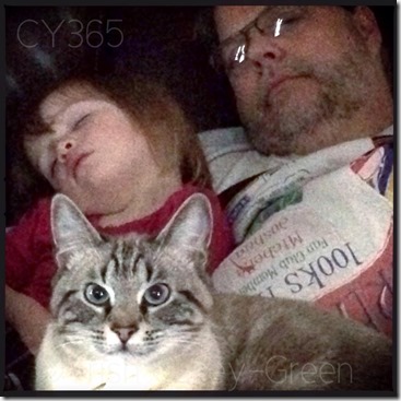 1911833_10203669319517481_846472293_n