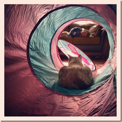 484023_10203573214834924_676702854_n