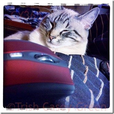 551075_10203583310367306_1666111332_n