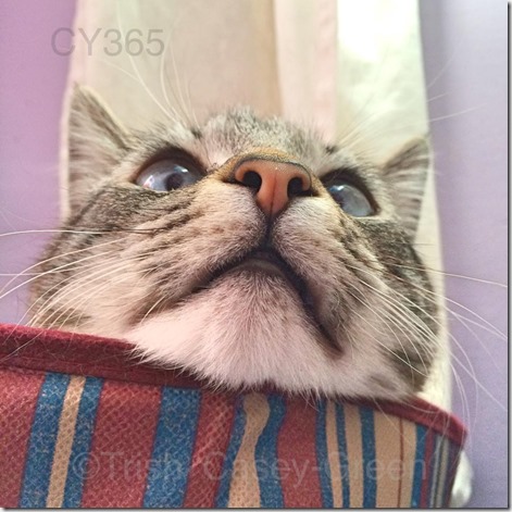 10006203_10203976500196806_112641480_n