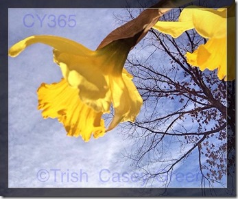 10007535_10203872393354200_132833105_n