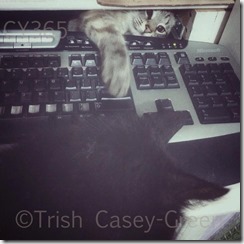 1920346_10203781206594588_41041480_n