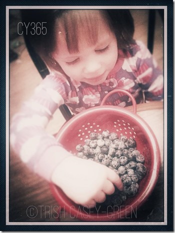 1974980_10203854437065304_984045254_n