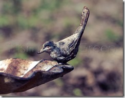 577407_10203767126602597_1566304259_n