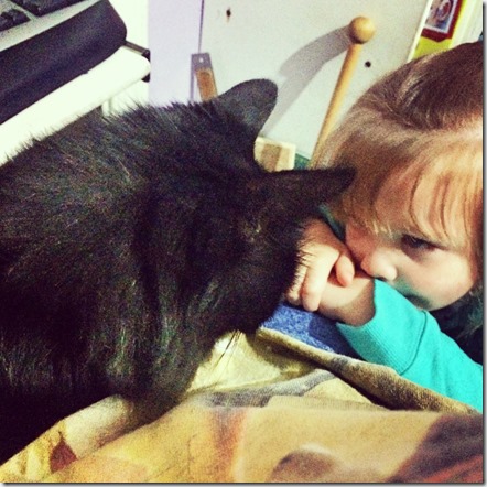 10151517_10204052856225659_1326017114_n