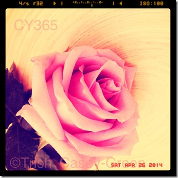 10153407_10204189143232749_465605814_n