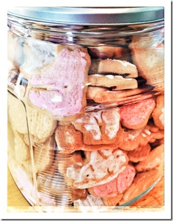 10154878_10204183288846393_1047242940_n