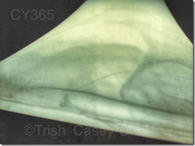 10173283_10204086879636223_884392648_n