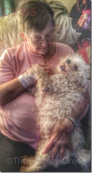 10173297_10204065078331204_1607652029_n