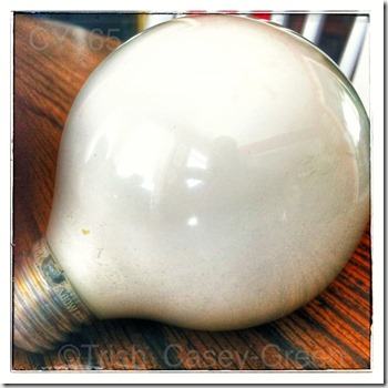 10268177_10204169831429966_763988540_n