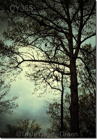 10270004_10204169830869952_1467222858_n