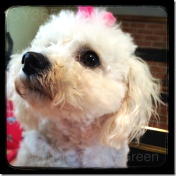 10270134_10204113344617831_1598325313_n