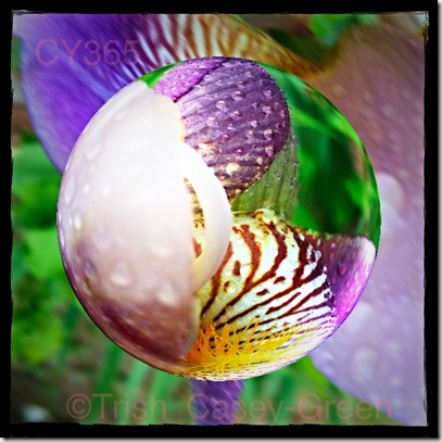 10318701_10204271038880089_1041860848_n (1)